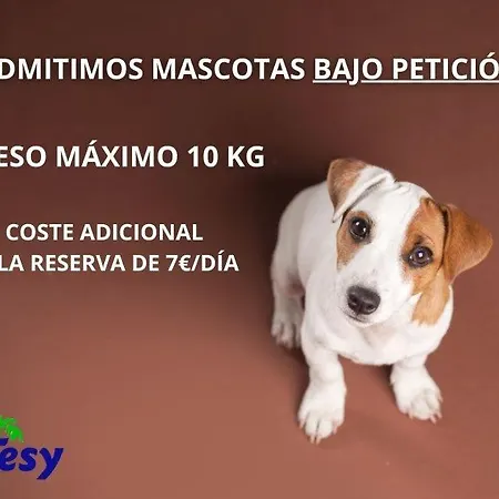 Tesy Διαμέρισμα *